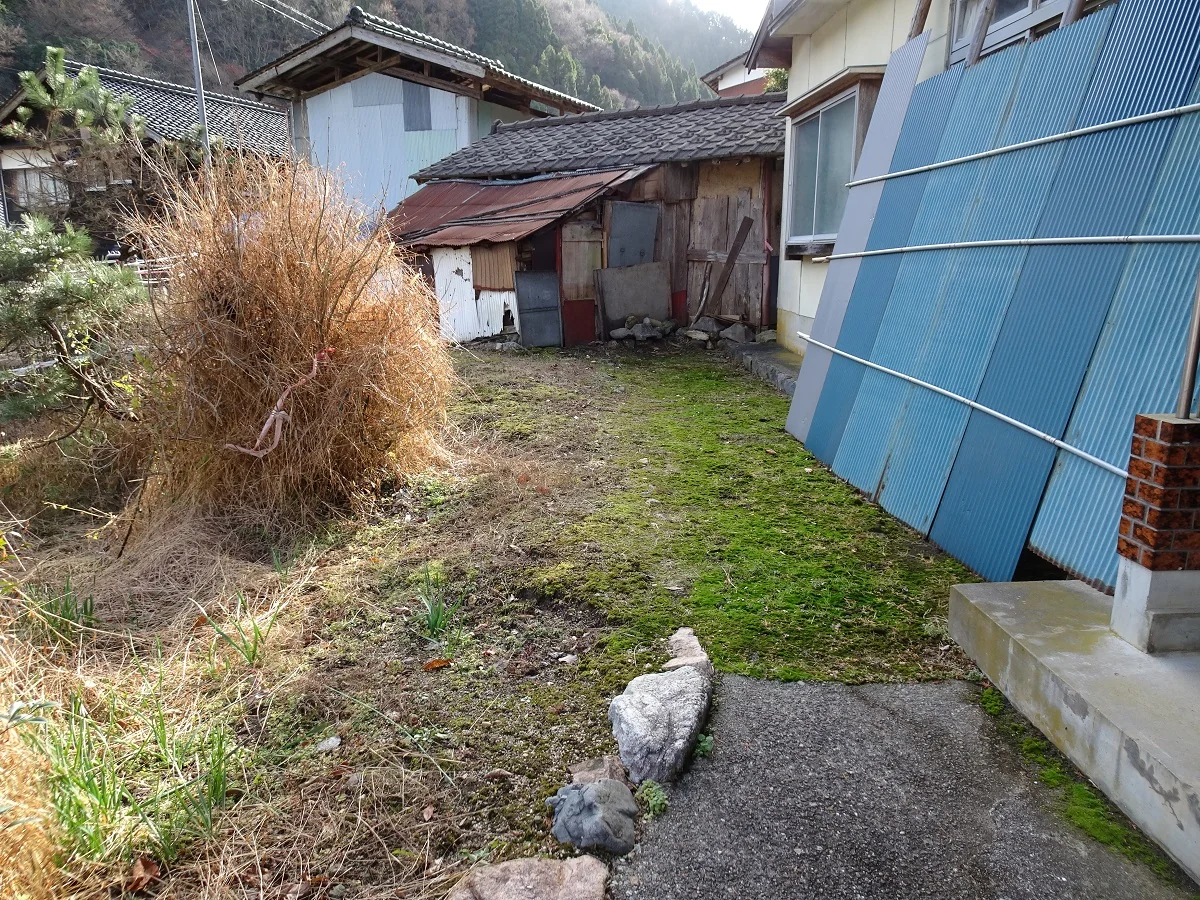 View 2