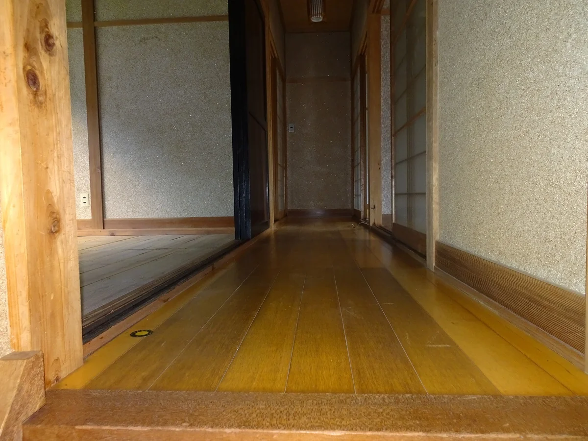View 12