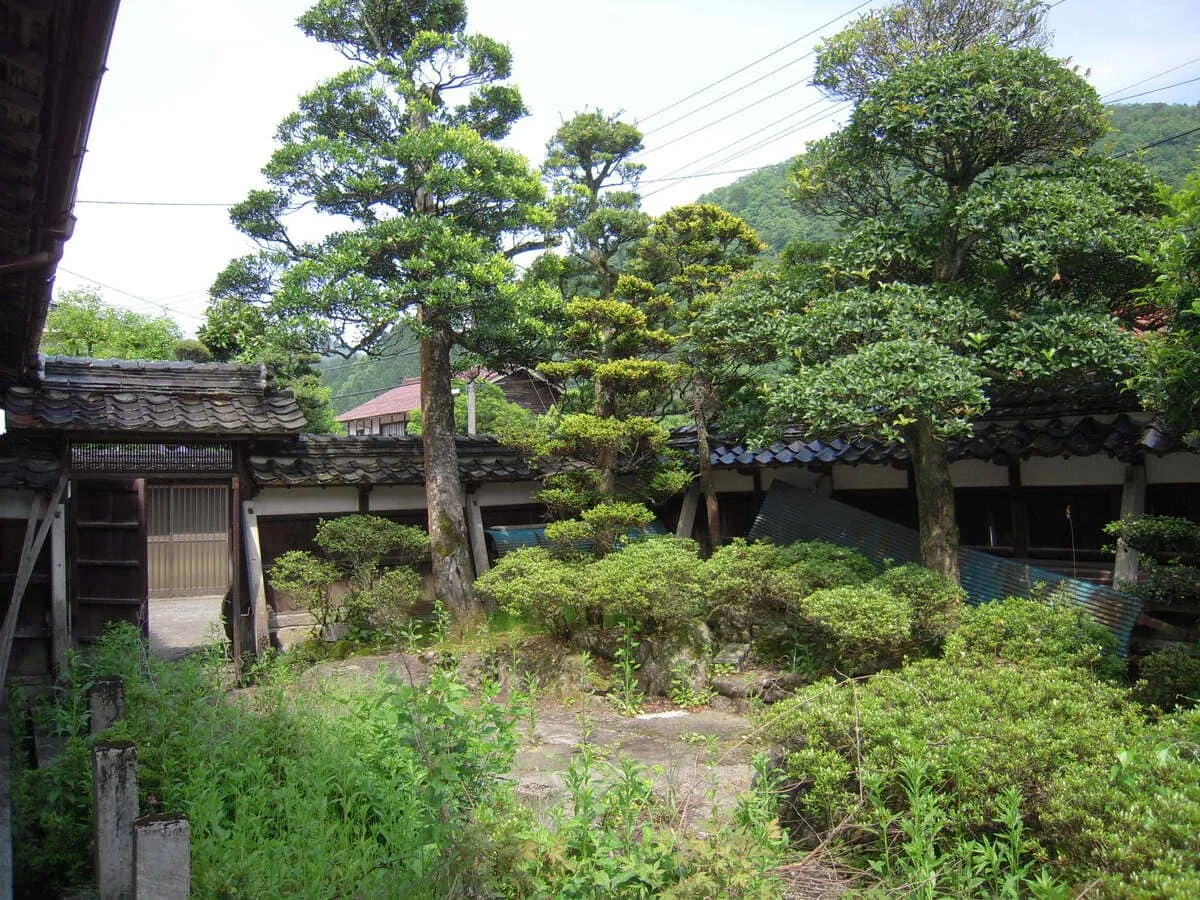 View 14