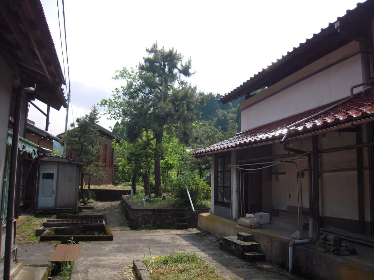 View 15