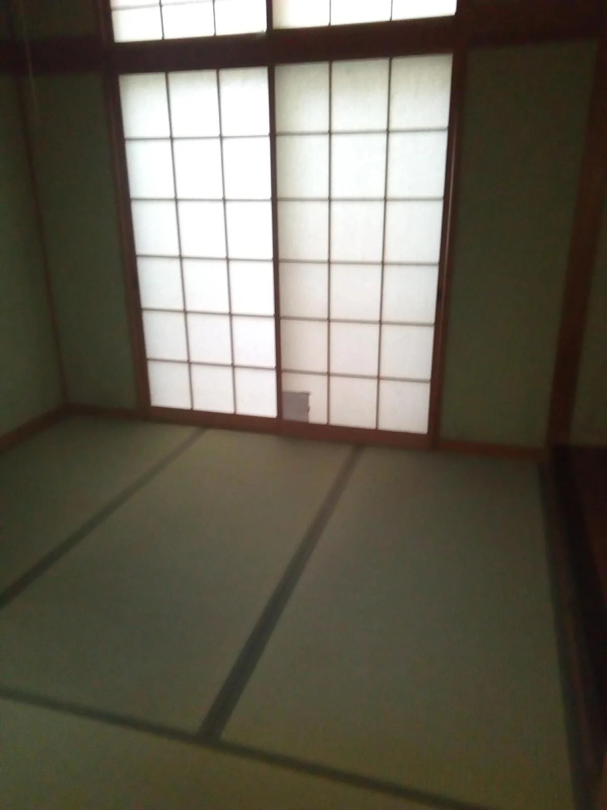 View 8