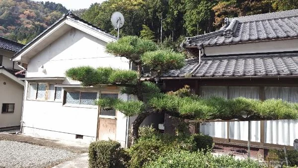 View 10