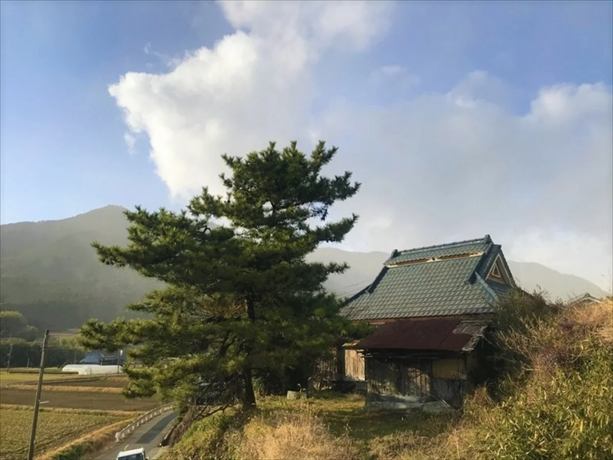 View 3