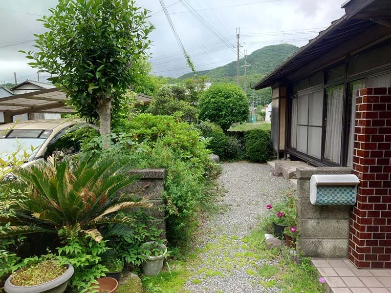 View 2