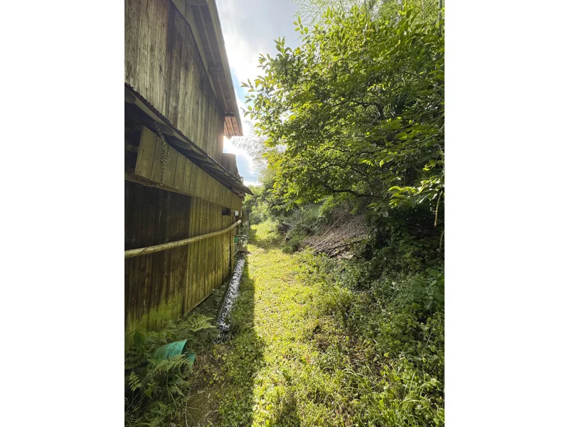 View 26