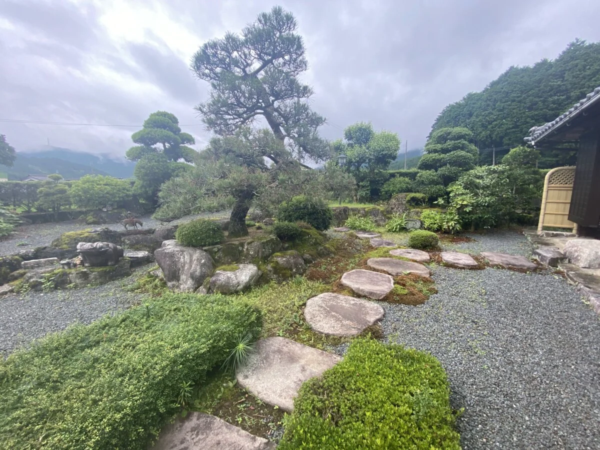 View 24
