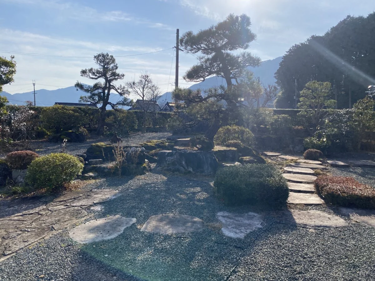 View 27