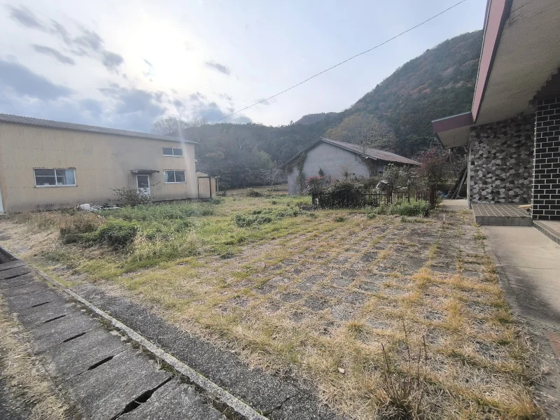 View 24