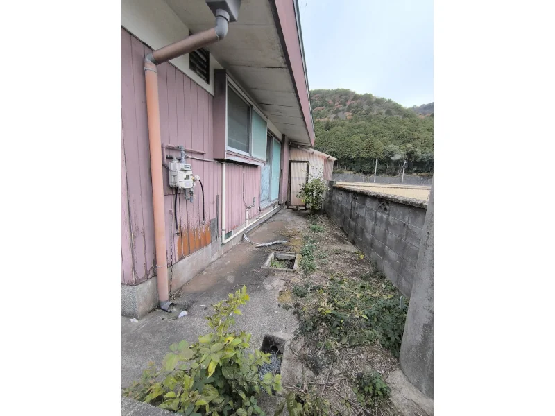 View 25