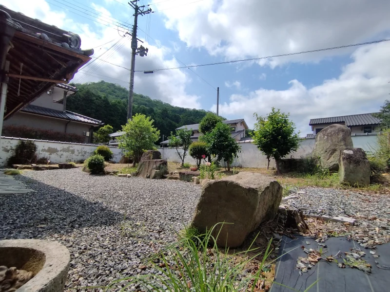 View 39
