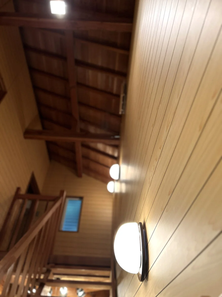 View 14