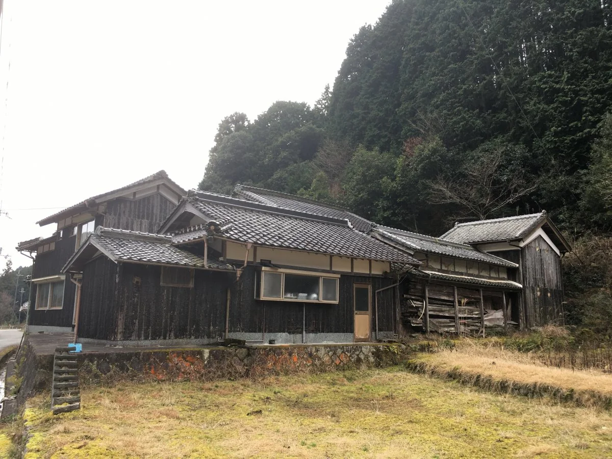 View 2