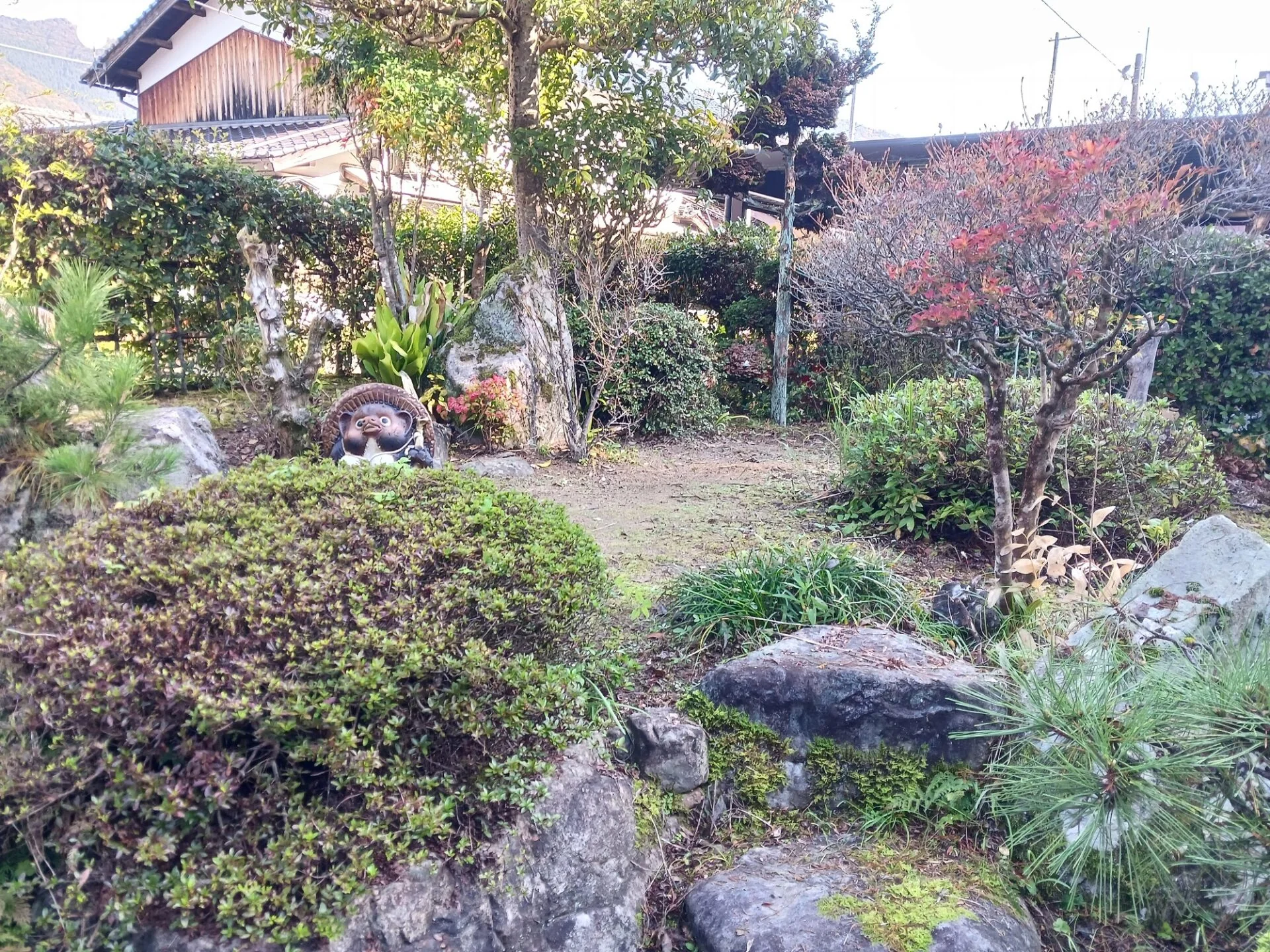View 17