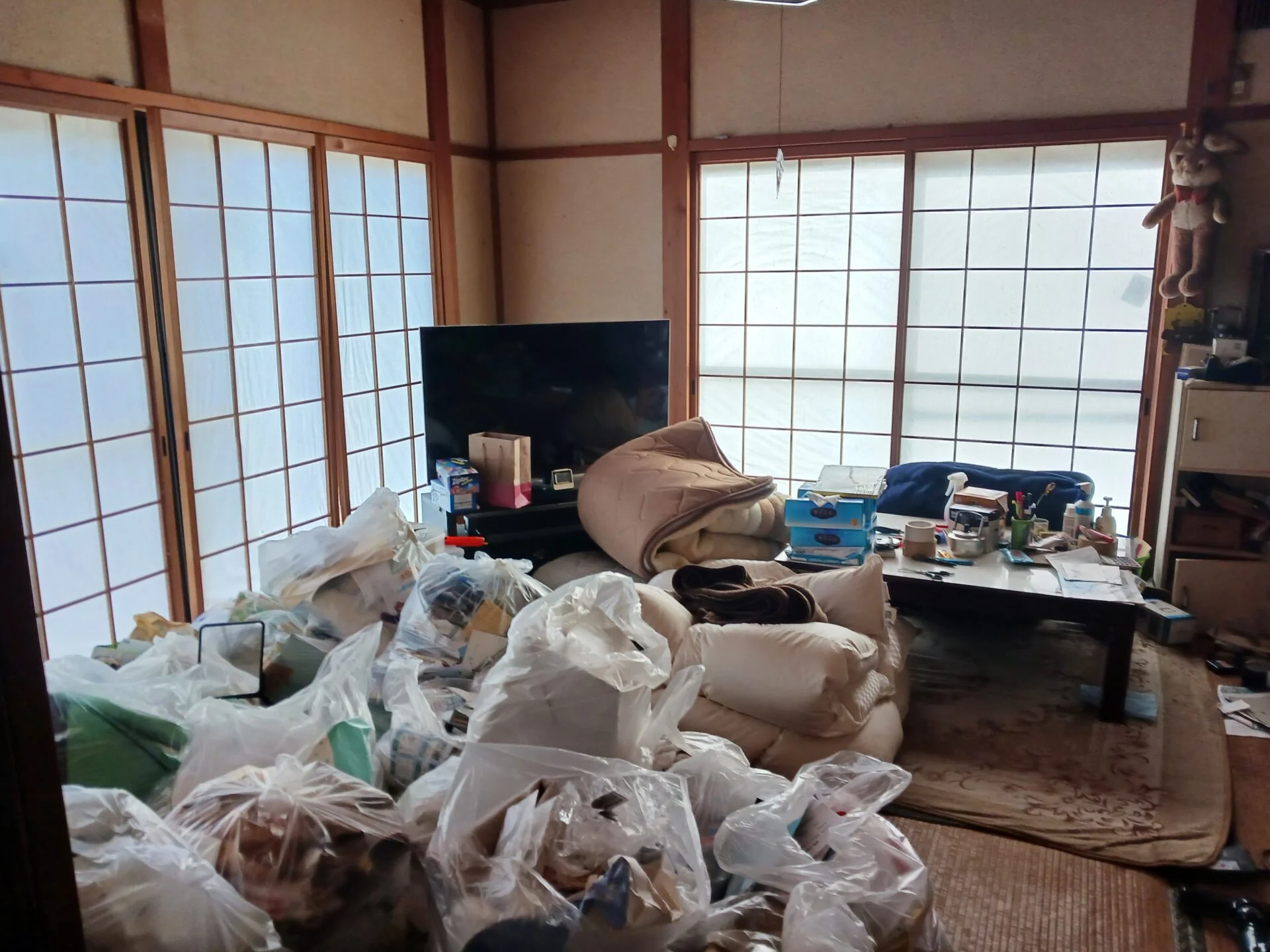View 11