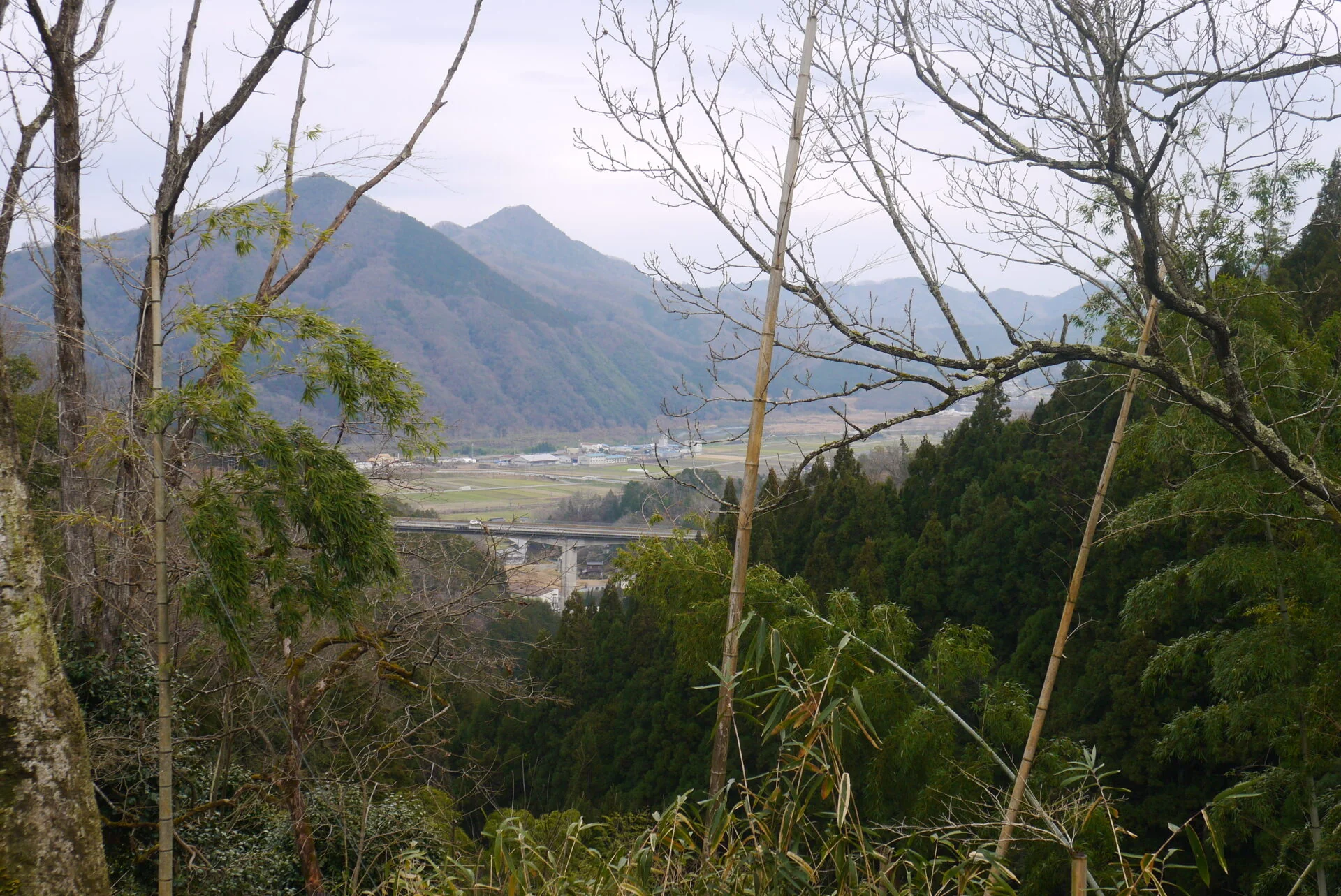 View 13
