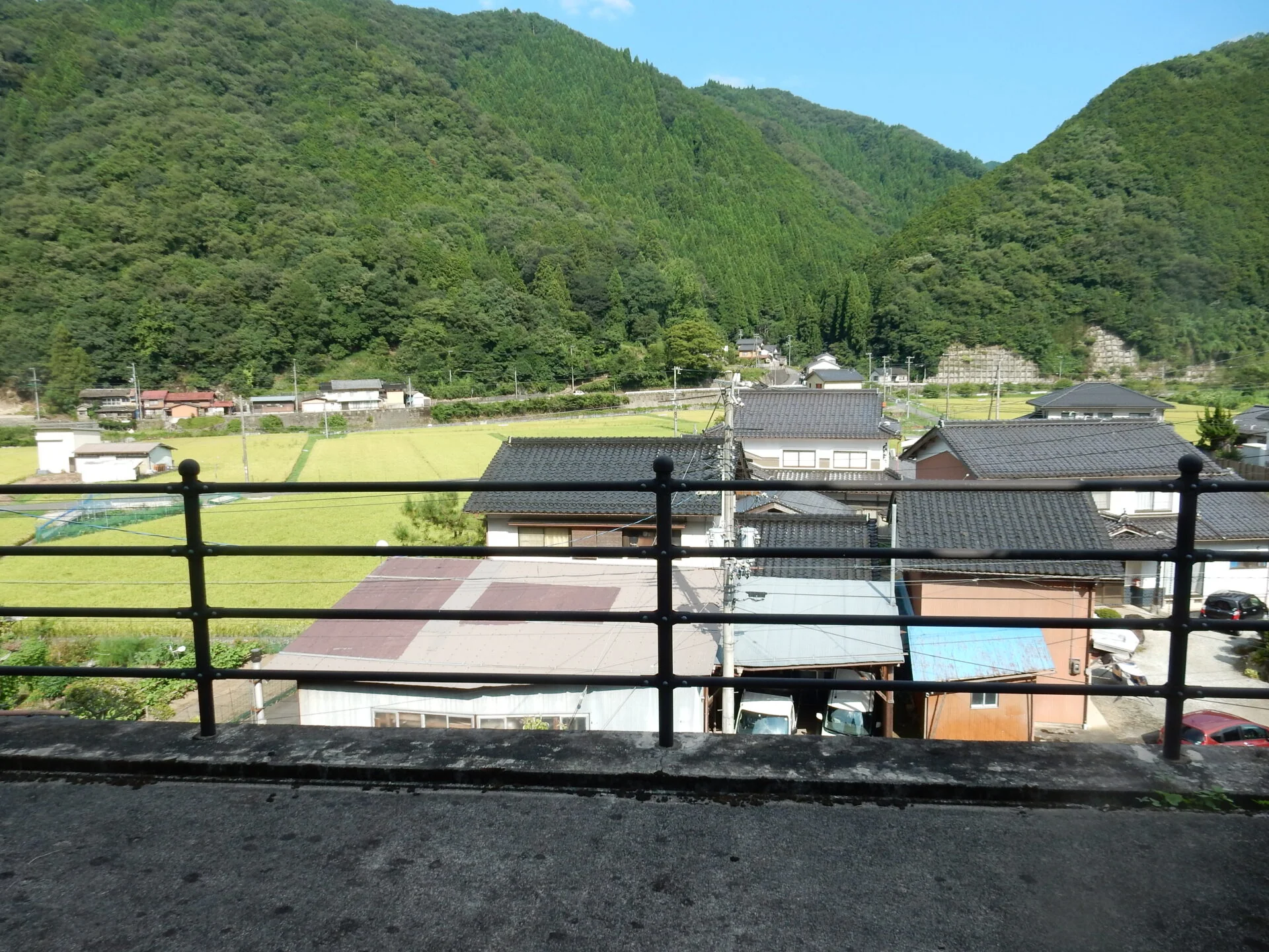 View 5