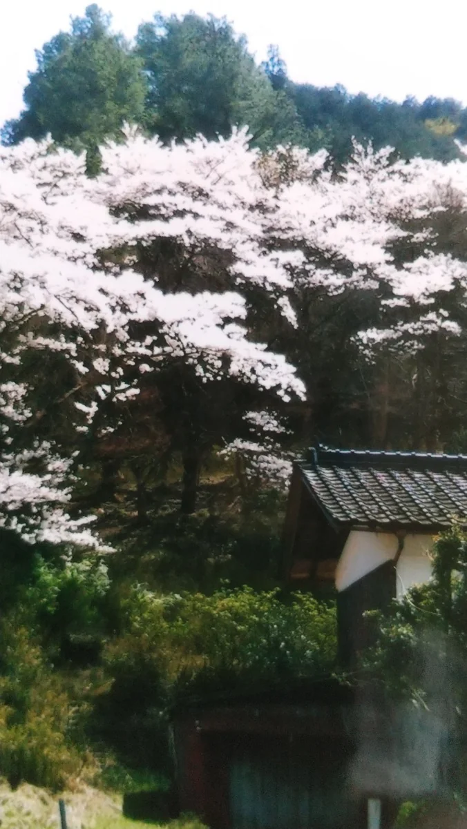 View 11