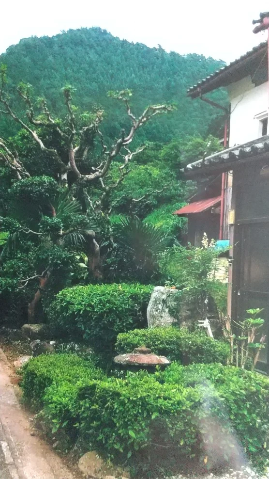 View 10