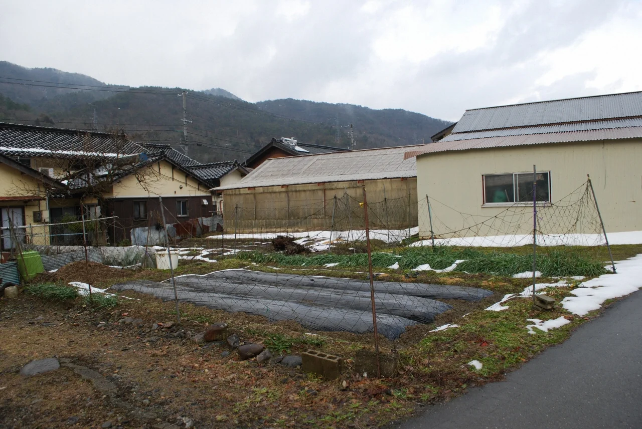 View 15
