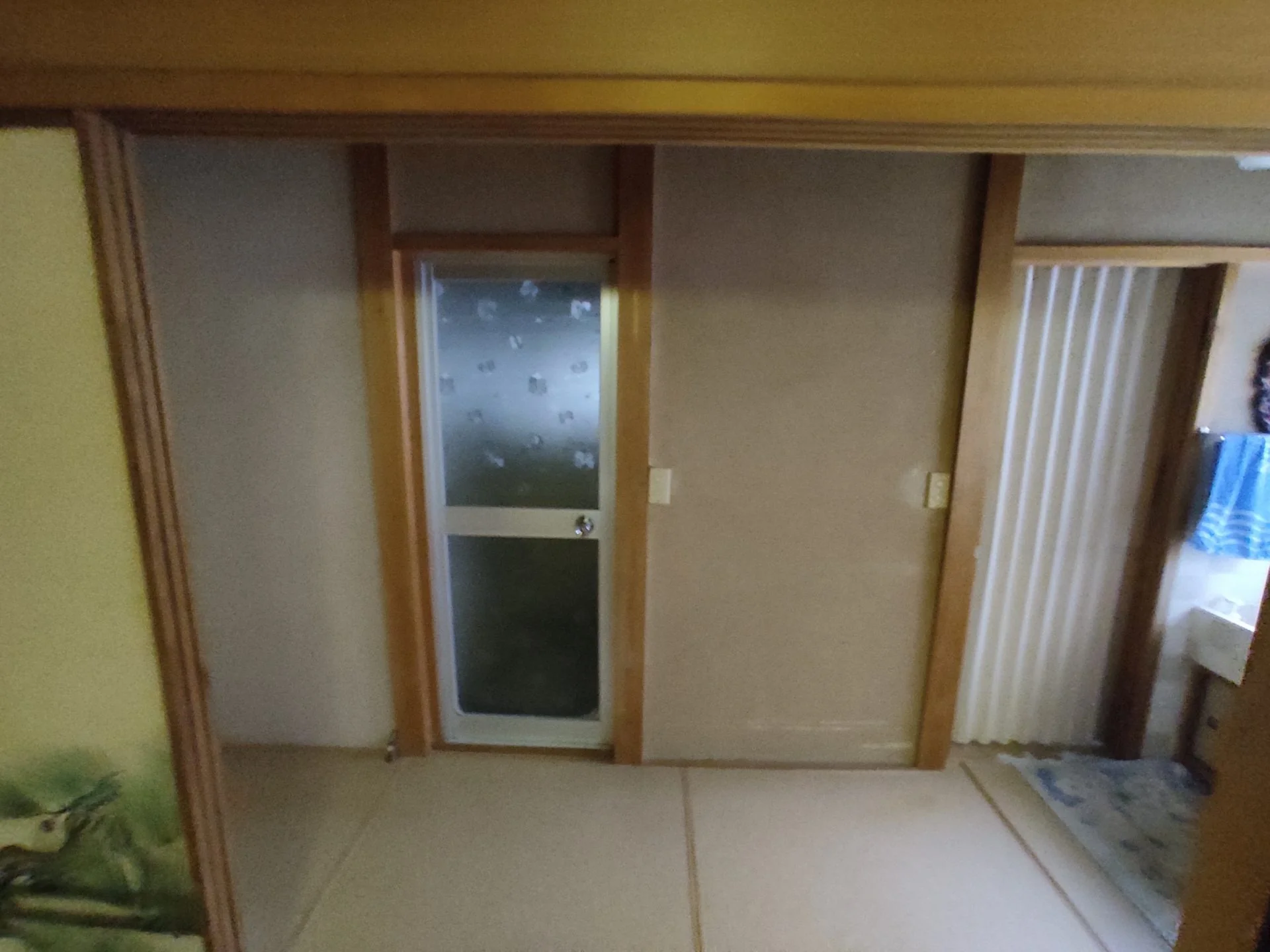 View 12
