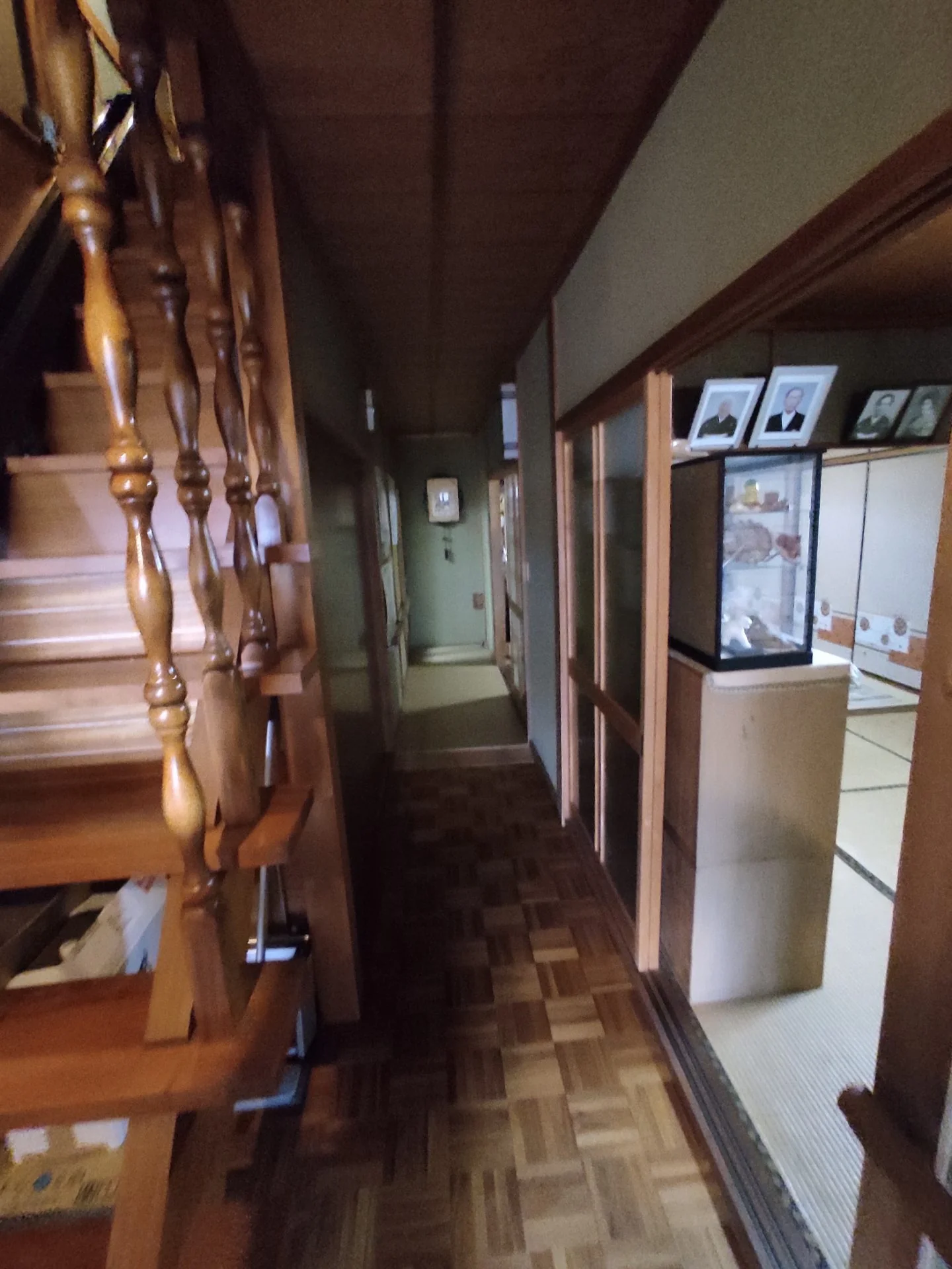 View 5