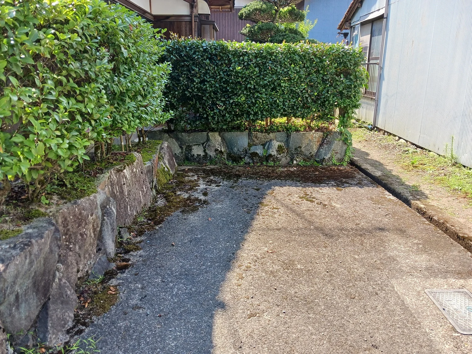 View 15