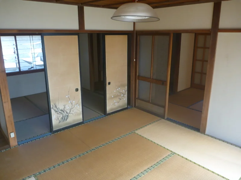 View 24