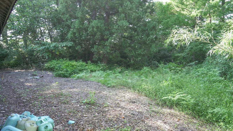 View 12