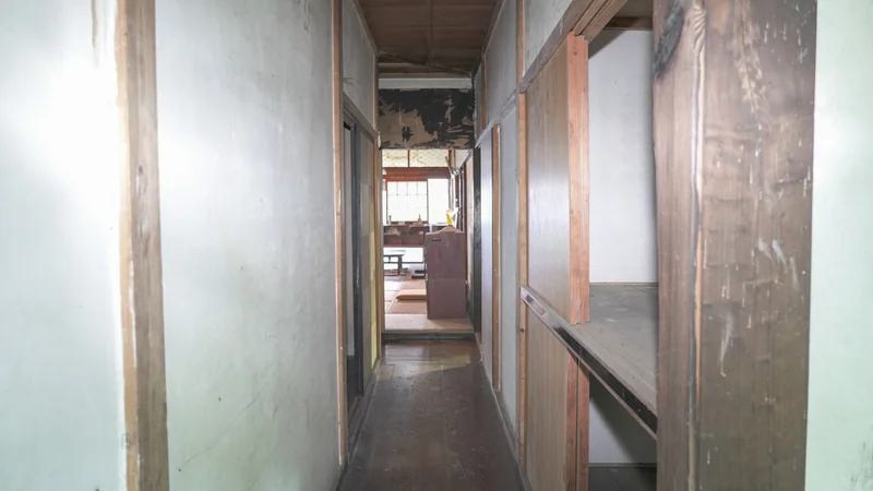 View 24