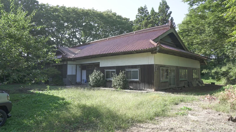 View 3