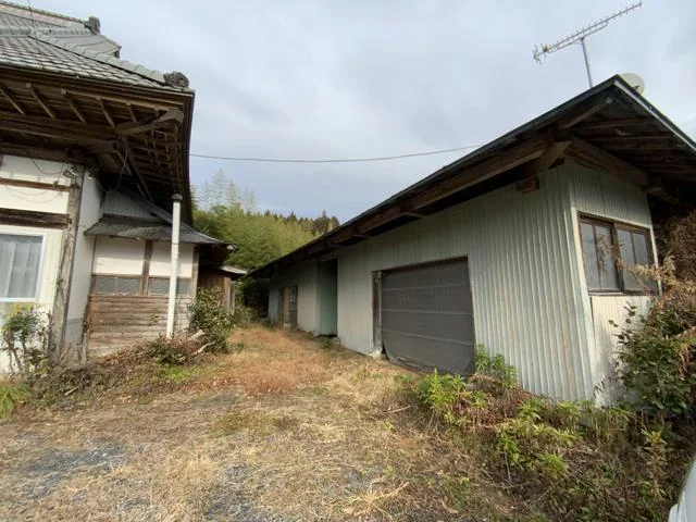 View 15