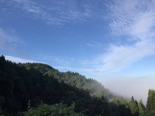 View 16