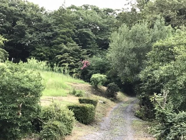 View 17