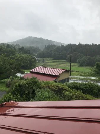 View 4