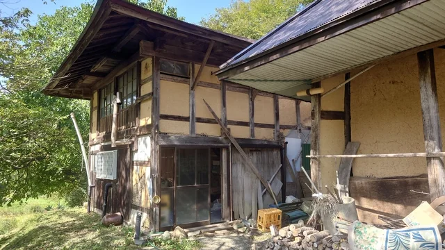 View 4