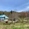 View 18