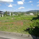View 8