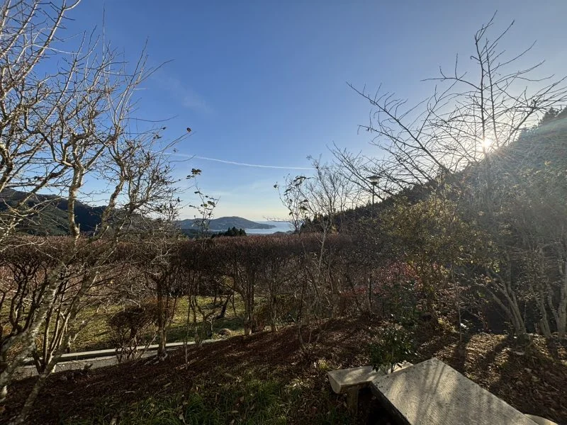 View 12