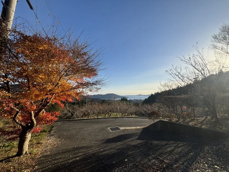 View 13