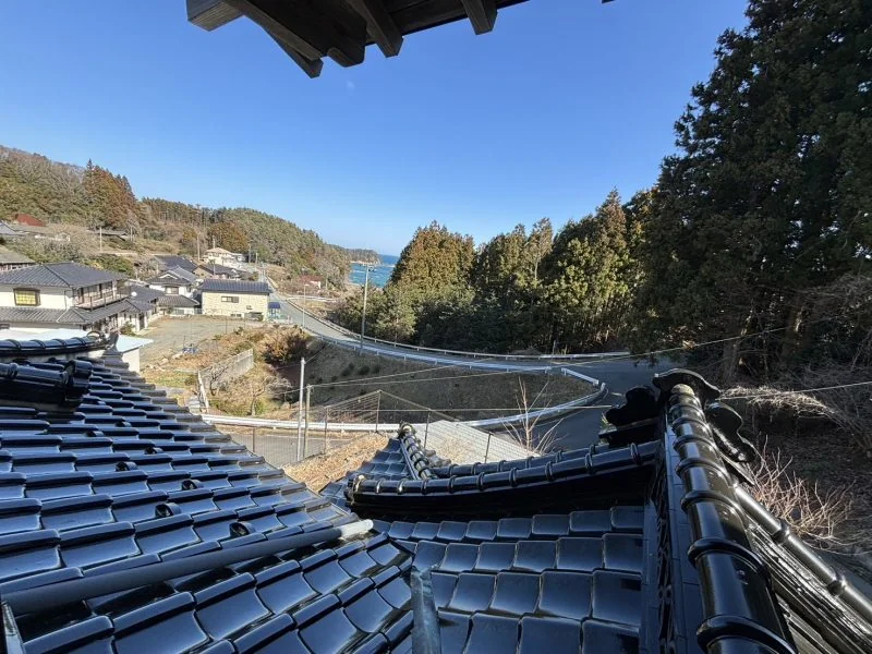 View 15