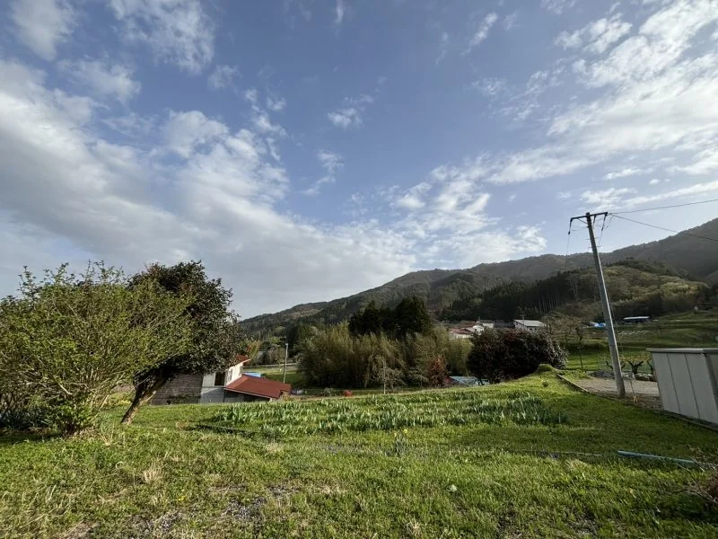 View 10