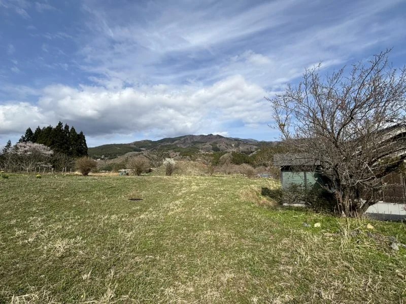 View 8