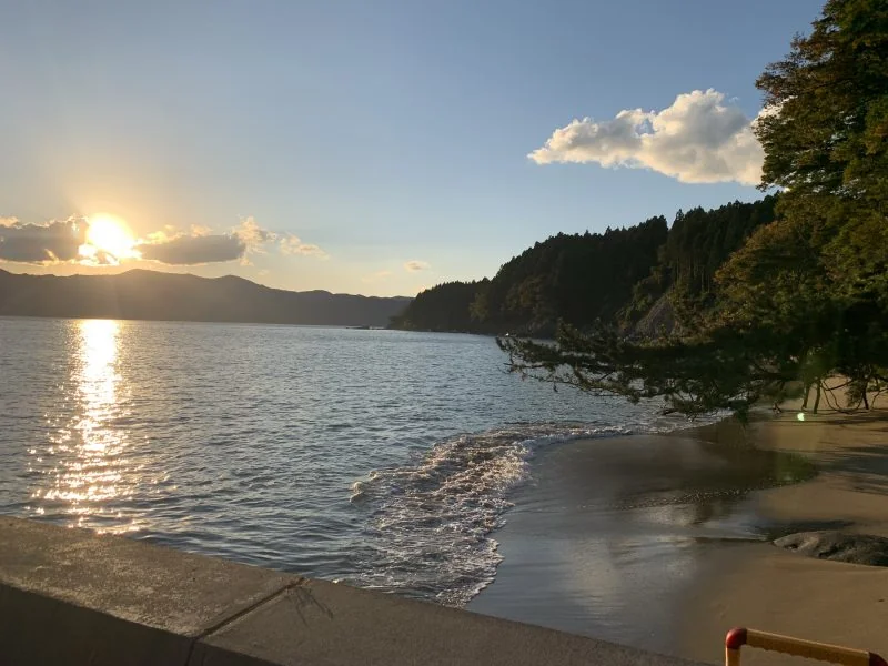 View 19
