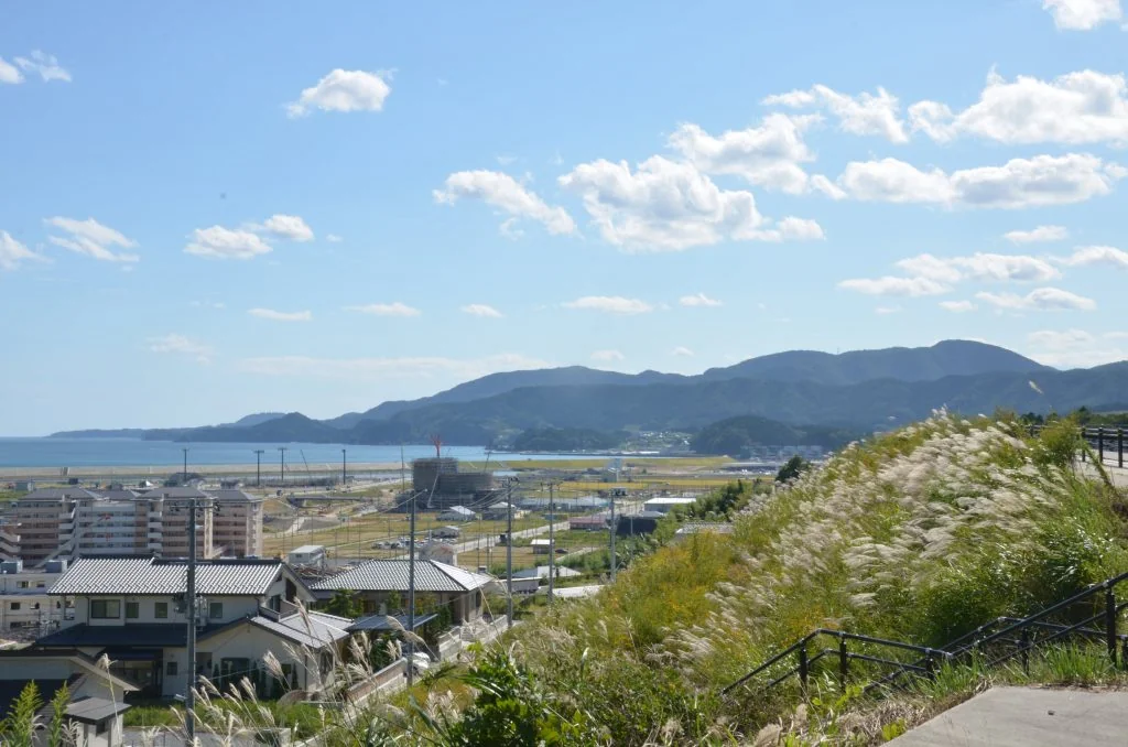 View 14