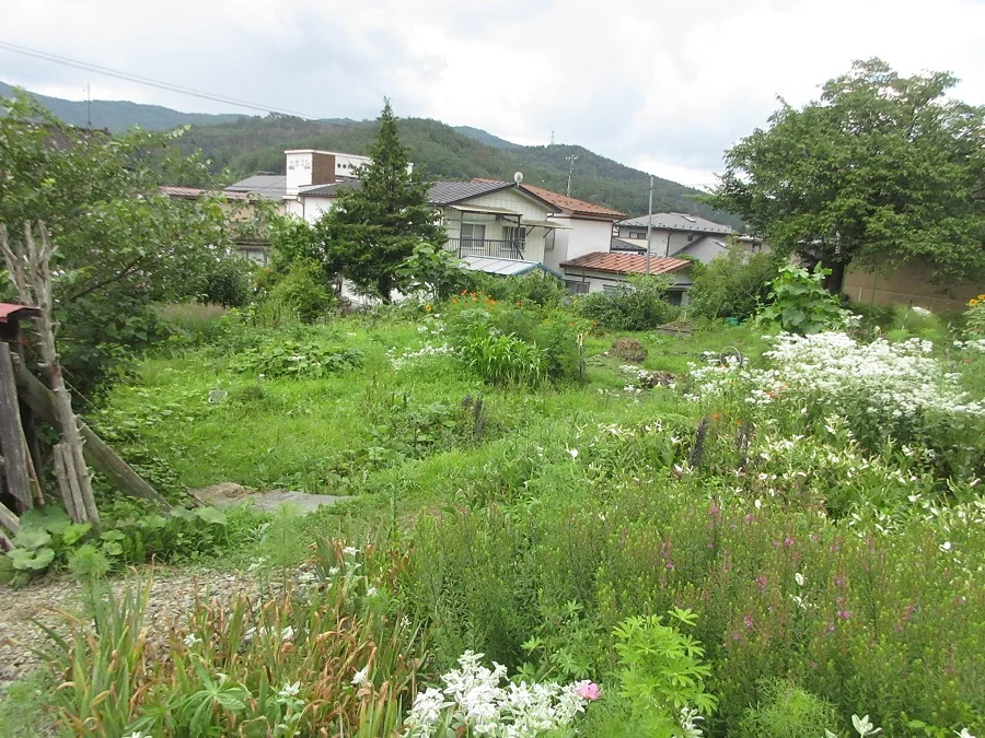 View 14