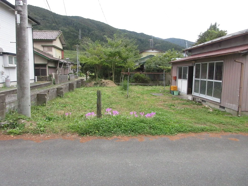 View 5