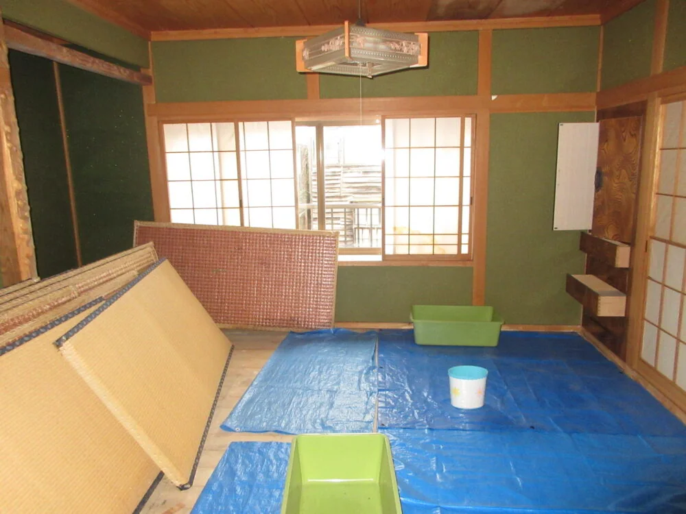 View 15