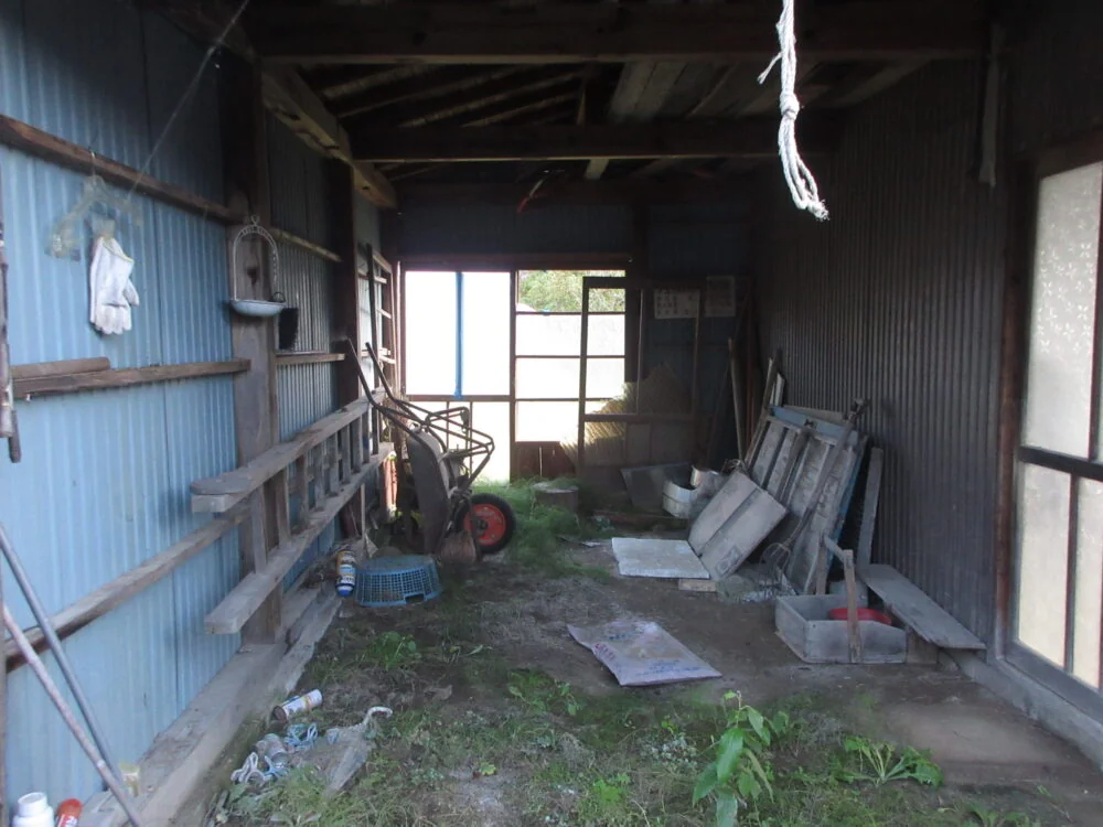View 16