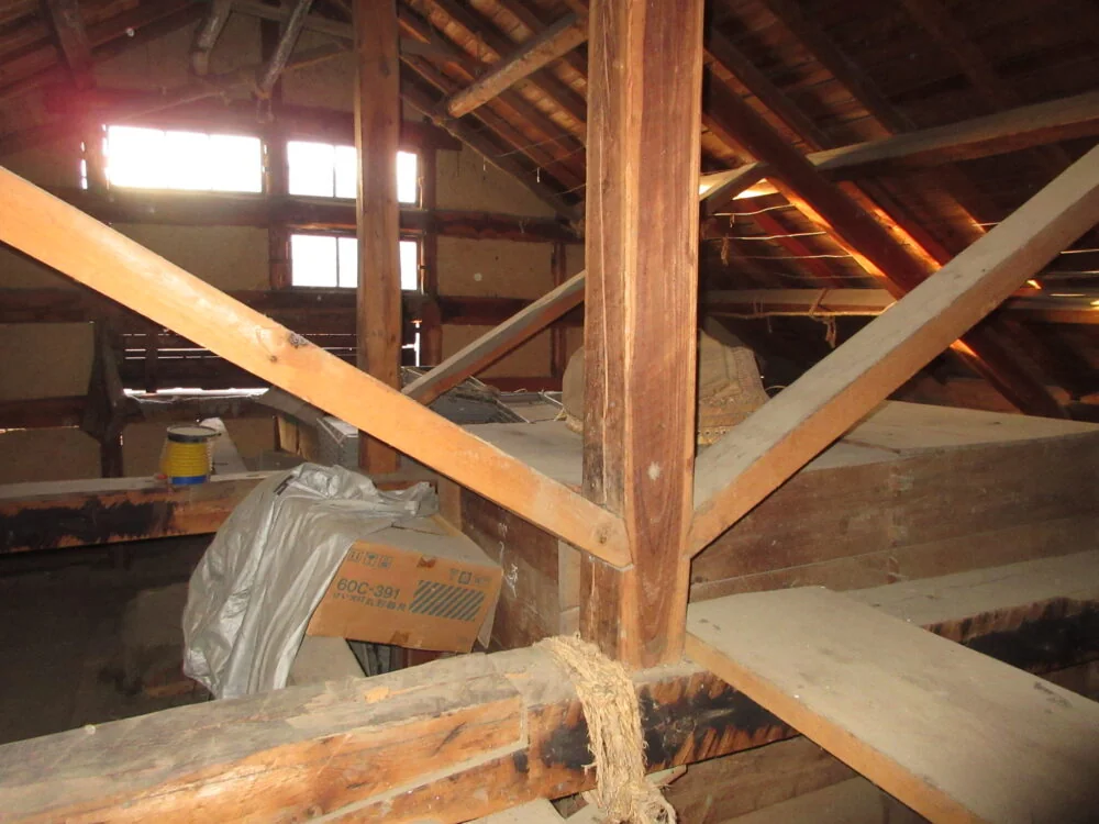 View 8