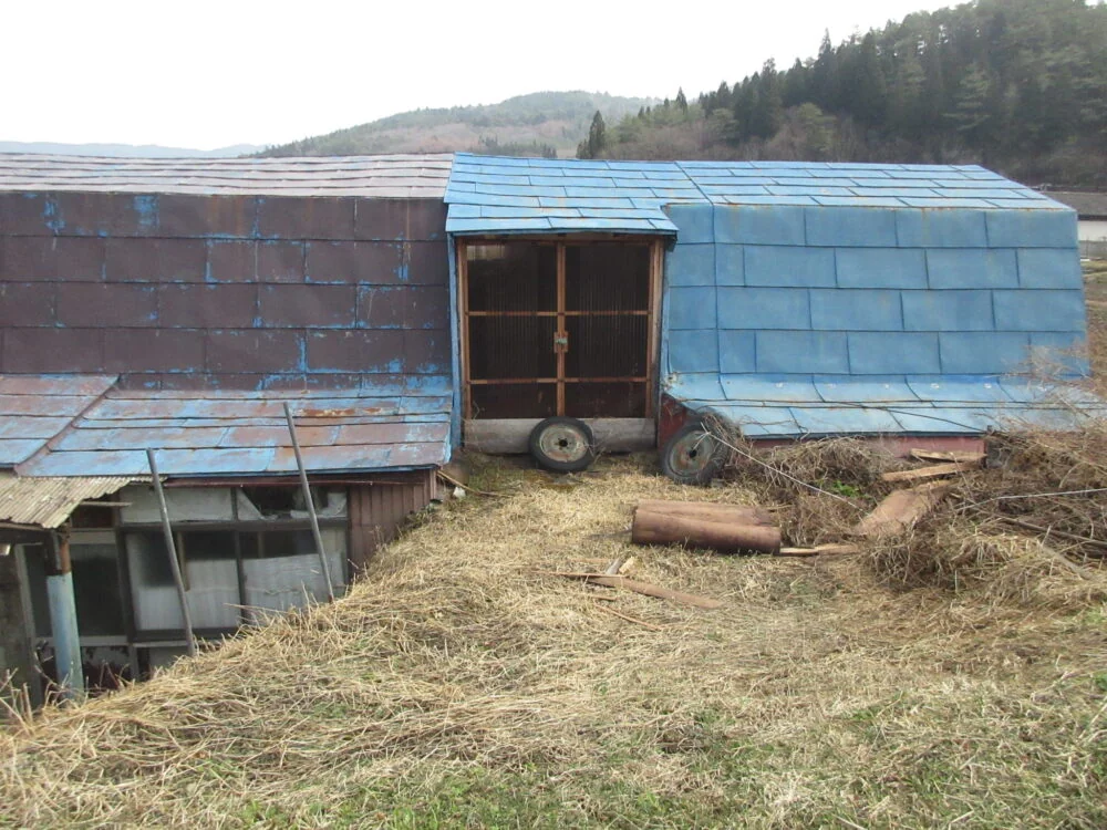 View 20